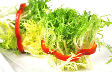 苦菊和什么相克?苦菊不能和什么同吃 苦菊和什么相克?苦菊不能和什么同吃