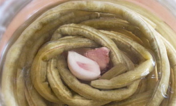 豇豆怎么腌制?如何腌制豇豆 豇豆怎么腌制?如何腌制豇豆