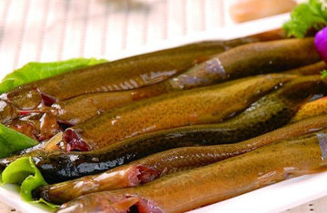 泥鳅有刺吗？泥鳅有鳞片吗