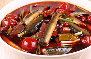 泥鳅有刺吗？泥鳅有鳞片吗