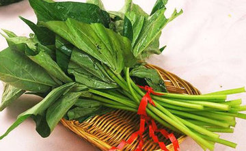 苕尖孕妇能吃吗?苕尖孕妇可以吃吗 苕尖孕妇能吃吗?苕尖孕妇可以吃吗