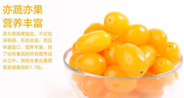 圣女果能减肥吗?圣女果可以减肥吗 圣女果能减肥吗?圣女果可以减肥吗