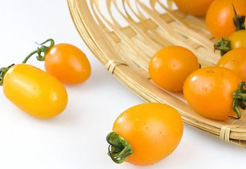 圣女果能减肥吗?圣女果可以减肥吗 圣女果能减肥吗?圣女果可以减肥吗