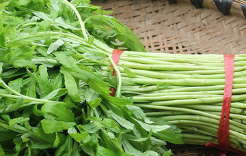 泥蒿的叶子可以吃吗?泥蒿的叶子能不能吃 泥蒿的叶子可以吃吗?泥蒿的叶子能不能吃