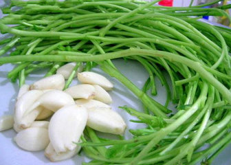 泥蒿的叶子可以吃吗?泥蒿的叶子能不能吃 泥蒿的叶子可以吃吗?泥蒿的叶子能不能吃