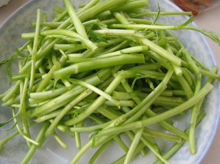 芦蒿是发物吗?芦蒿是不是发物 芦蒿是发物吗?芦蒿是不是发物