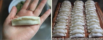 鲜肉香菜锅贴的做法步骤4