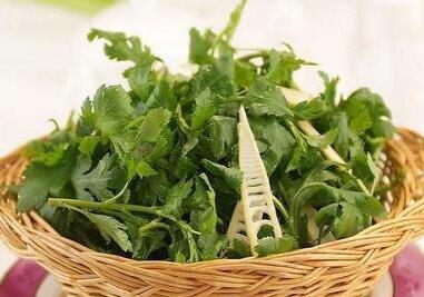 菊花脑是什么?菊花脑是野菊花吗 菊花脑是什么?菊花脑是野菊花吗