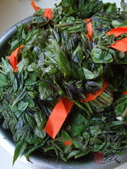 古法腌香椿的做法步骤1