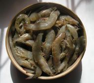 香辣虾的做法步骤1