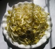 香辣虾的做法步骤2