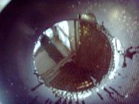 虾仁滑蛋的做法步骤14