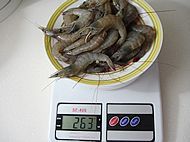 韭黄炒虾仁的做法步骤2