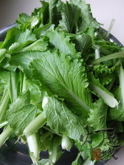 小白菜土猪肉粉条包子的做法步骤3