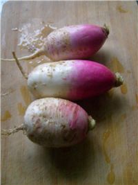 红烧萝卜鸡翅根的做法步骤2