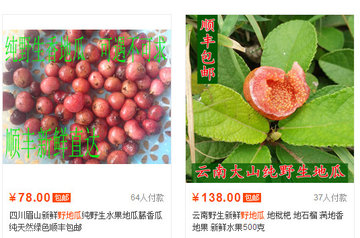 野地瓜哪里可以买到?哪个地方有种植野地瓜的 野地瓜哪里可以买到?哪个地方有种植野地瓜的