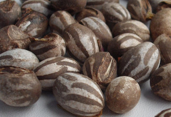 洋辣子多少钱一斤?洋辣子罐是什么 洋辣子多少钱一斤?洋辣子罐是什么