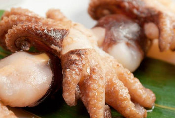 章鱼是鱿鱼吗?章鱼和鱿鱼有什么区别 章鱼是鱿鱼吗?章鱼和鱿鱼有什么区别