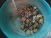 香辣炒花蛤的做法步骤1