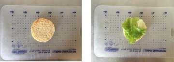 全麦胡萝卜鲜肉汉堡的做法步骤5-6