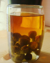 三个月品尝酸甜香醇的― ―青梅酒 - 哥z好 - 哥俩好的博客 青梅酒怎么做