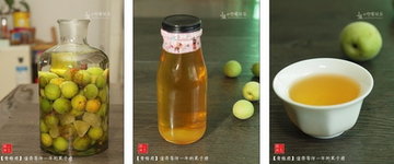 青梅酒步骤7-9