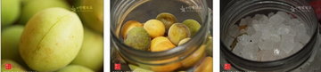 青梅汁的做法步骤4-6