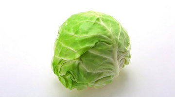 圆白菜选购技巧