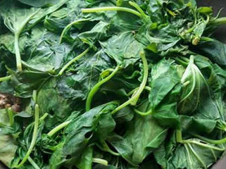 豆瓣肉末炒地瓜叶3