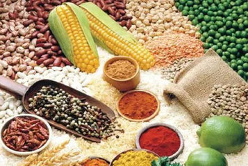 你的身体需要排毒吗？57种排毒食物全记录1