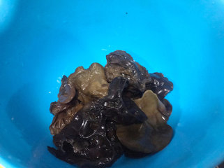 此菜爽脆滑口，女人常吃可益气补血，不想当黄脸婆的千万别放过4