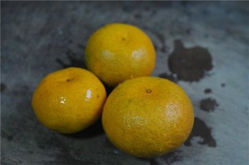 可惜知道的人太少：秋天这菜不花钱，却是个宝，咳嗽、胃痛扫光光3