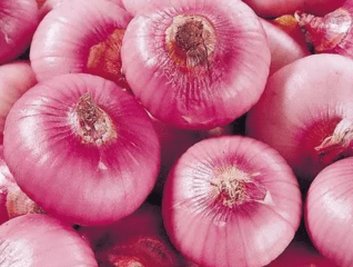 洋葱买“紫皮”还是“白皮”的？现在才恍然大悟,原来差距在这！