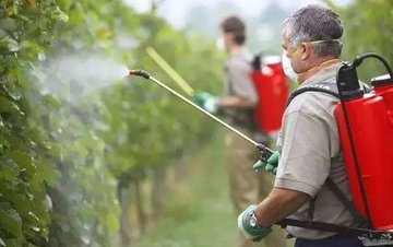 谣言粉碎系：果蔬农残怎么洗才干净？8