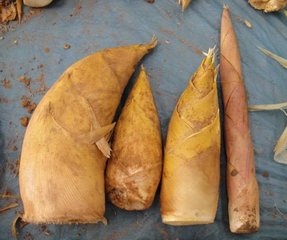 终极“痔疮药”：莲藕+红糖，坚持吃一点，肉球便血都被赶走2