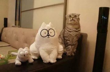 牛奶、酸奶、豆浆，喝谁更健康？5