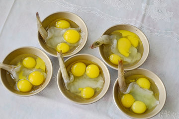 健脑增记忆，强壮身体不生病：它是“动物中的人参”，记得多给孩子吃5