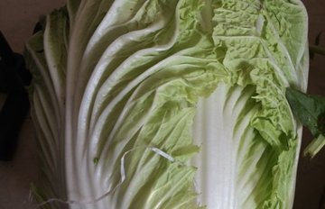 酸菜的腌制方法2