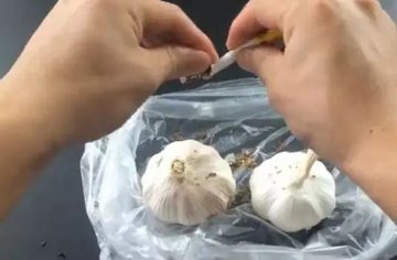 大蒜保存妙招：3种方法，简单实用2