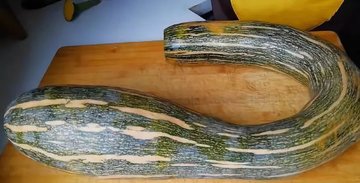 南瓜创意新做法：南瓜饺子1