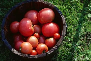 推荐收藏：适合高血压、高血脂、痛风群体喝的4碗汤3