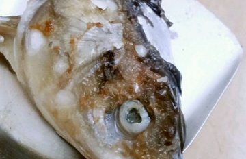 炖鱼头2