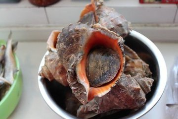 海螺的做法1