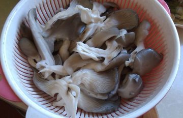 炒蘑菇的做法1