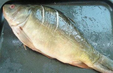 鲤鱼怎么做好吃1