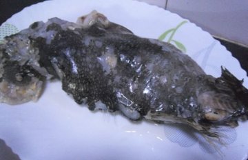 海参斑鱼的做法6