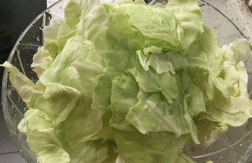 手撕包菜的家常做法3