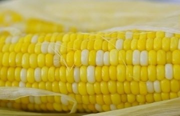 豆浆机做玉米汁1