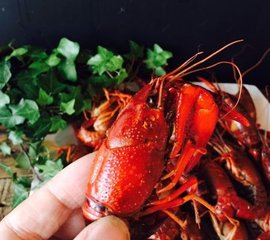 小龙虾窍门10