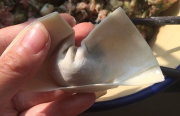 馄饨的包法5